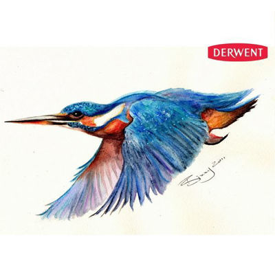 Painting the Artwork for the New Derwent Inktense Pencils